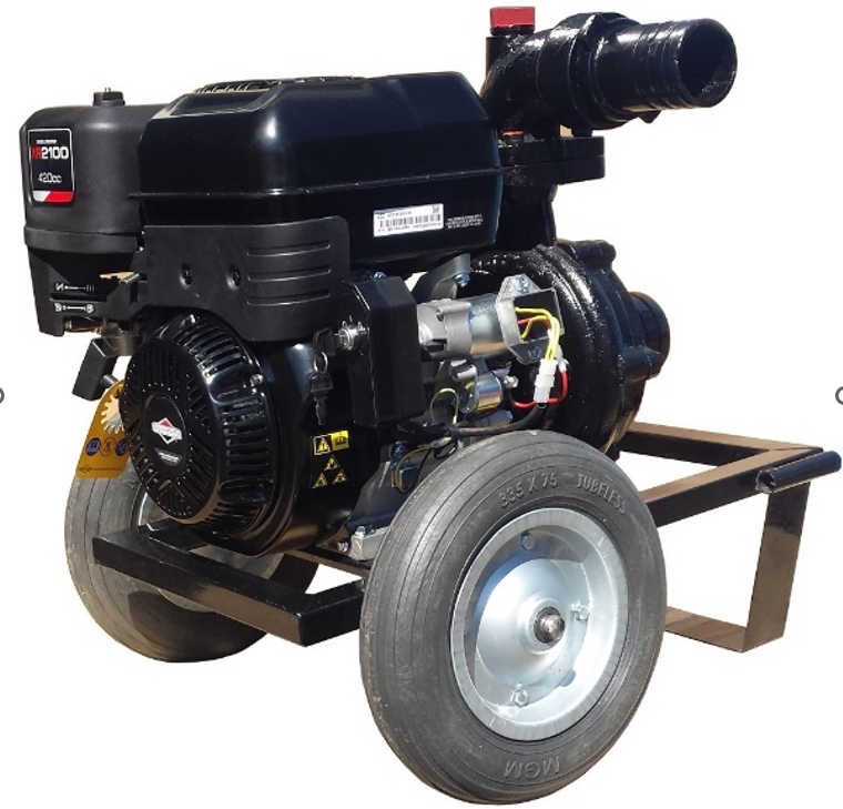 Motopompa de presiune Gardelina DWP 420 BS4