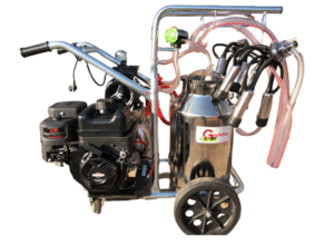 Mulgatoare Gardelina T240 INOX IC cu motor Briggs Stratton 7 CP Electric Start