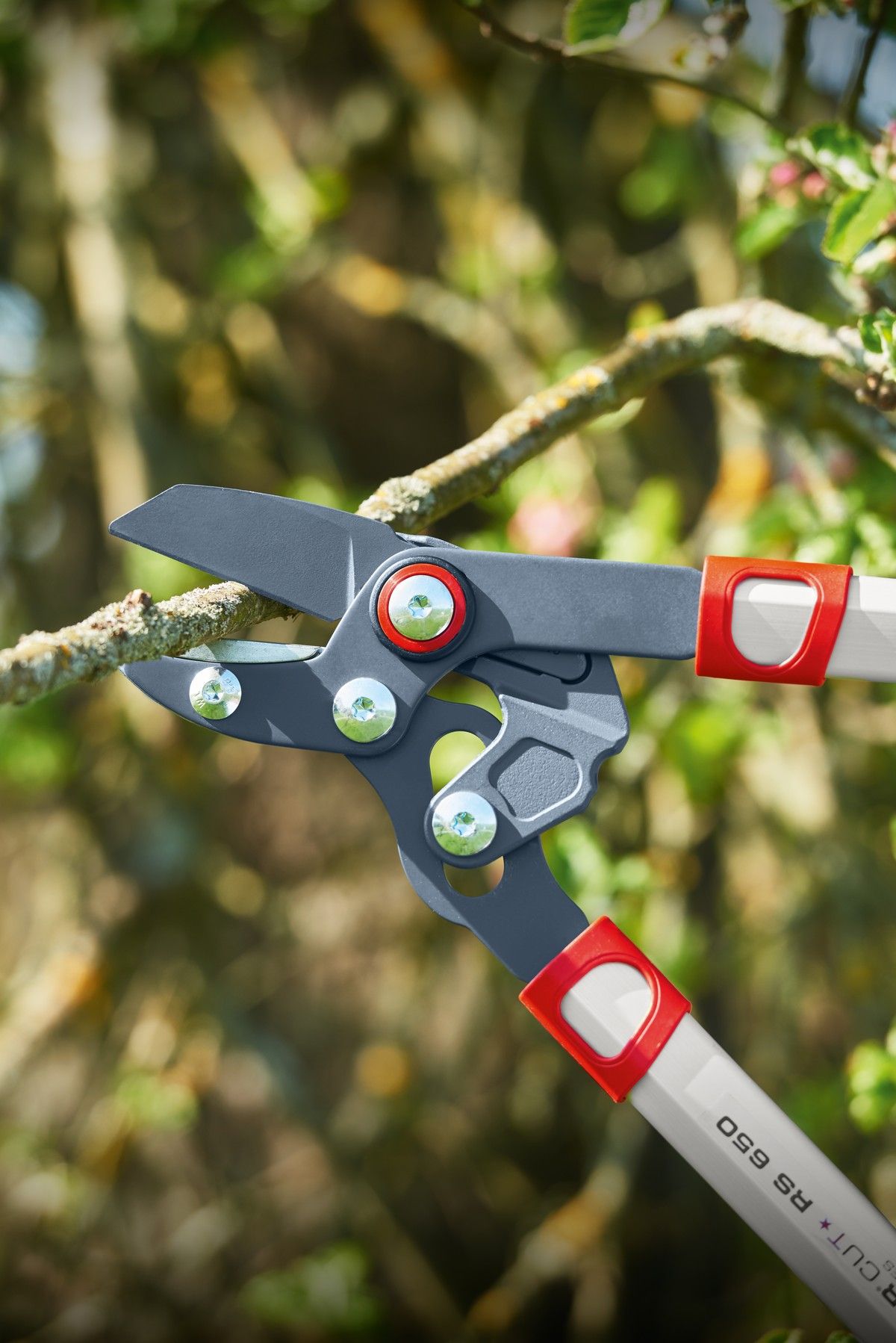 Foarfecă de crengi cu nicovală Wolf-Garten Power Cut RS 650 – lungime 65 cm, tăiere până la 40 mm - imagine 3