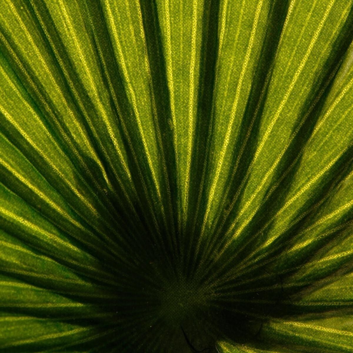 Plantă artificială Atmosphera Palmier cu ghiveci, 110 × 110 × 190 cm, verde - imagine 2