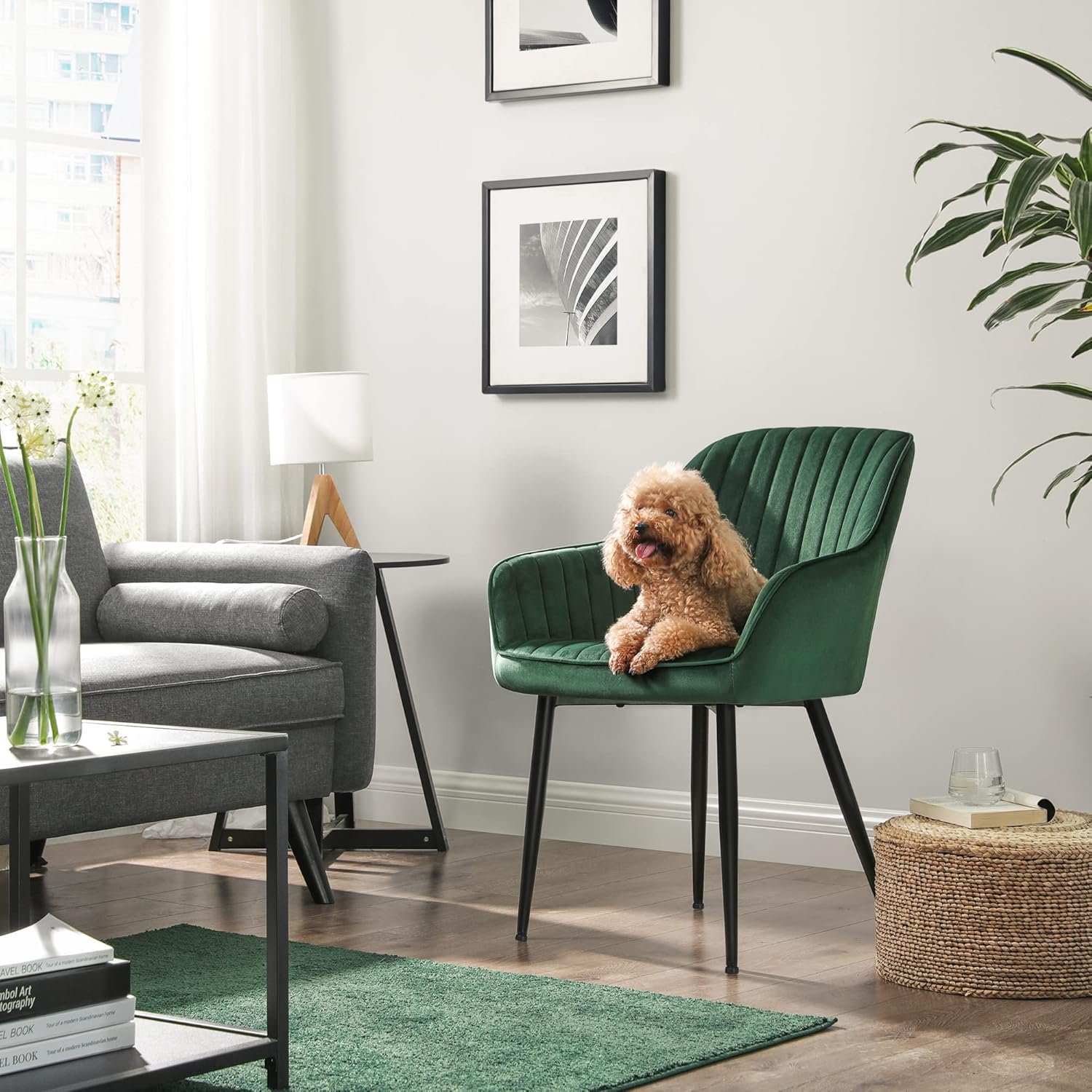 Scaun living Songmics LDC087C01 – catifea verde, cotiere, 120 kg - imagine 3