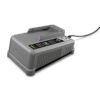 Încărcător Kärcher Battery Power+ 18/36 V – universal, 6 A, cu suport pentru perete