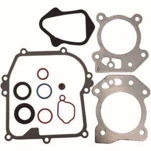 Set garnituri motor Briggs & Stratton 84006582 pentru motoare 450E, 500E, 625EXi